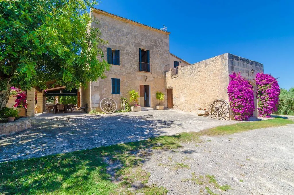 Som Comte II Villa Manacor   Manacor (Mallorca)