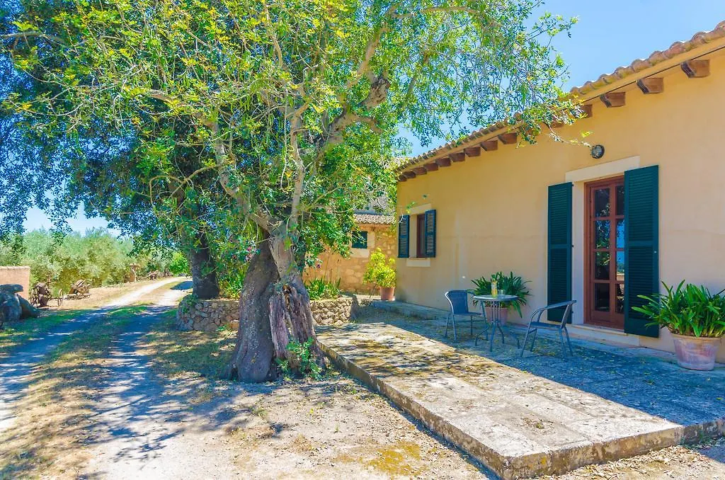 Som Comte II Villa Manacor   Manacor (Mallorca)